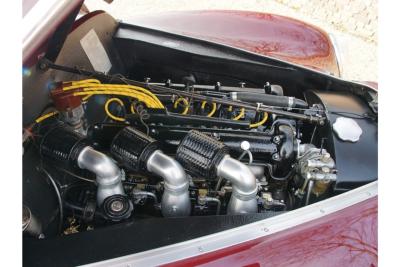 1953 Alfa Romeo 6C 2500 Sport Berlina GT