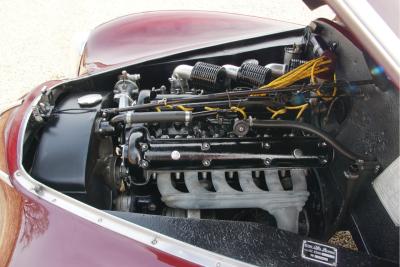 1953 Alfa Romeo 6C 2500 Sport Berlina GT