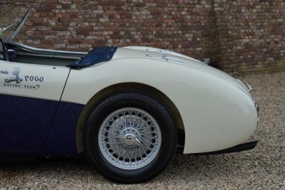 1953 Austin - Healey 100/4 &ldquo;SCCA-racer &rsquo;53-&rsquo;64&rdquo;