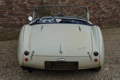 1953 Austin - Healey 100/4 &ldquo;SCCA-racer &rsquo;53-&rsquo;64&rdquo;