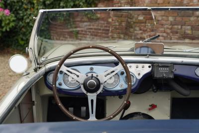 1953 Austin - Healey 100/4 &ldquo;SCCA-racer &rsquo;53-&rsquo;64&rdquo;