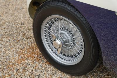1953 Austin - Healey 100/4 &ldquo;SCCA-racer &rsquo;53-&rsquo;64&rdquo;