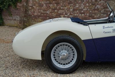 1953 Austin - Healey 100/4 &ldquo;SCCA-racer &rsquo;53-&rsquo;64&rdquo;