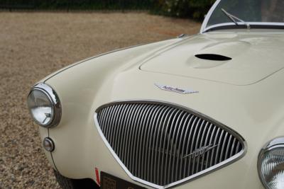 1953 Austin - Healey 100/4 &ldquo;SCCA-racer &rsquo;53-&rsquo;64&rdquo;