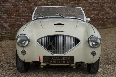 1953 Austin - Healey 100/4 &ldquo;SCCA-racer &rsquo;53-&rsquo;64&rdquo;