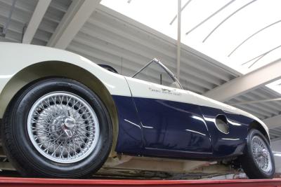 1953 Austin - Healey 100/4 &ldquo;SCCA-racer &rsquo;53-&rsquo;64&rdquo;