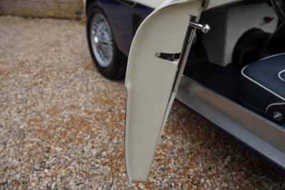 1953 Austin - Healey 100/4 &ldquo;SCCA-racer &rsquo;53-&rsquo;64&rdquo;