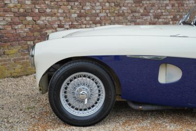 1953 Austin - Healey 100/4 &ldquo;SCCA-racer &rsquo;53-&rsquo;64&rdquo;