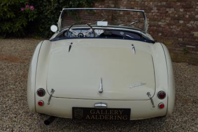 1953 Austin - Healey 100/4 &ldquo;SCCA-racer &rsquo;53-&rsquo;64&rdquo;