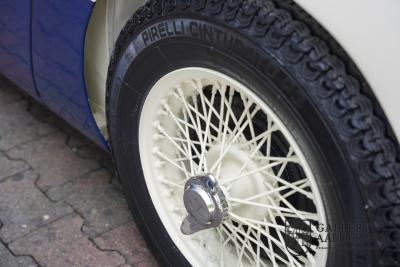 1954 Austin - Healey 100M Roadster &ldquo;100M Le Mans Registry&rdquo;