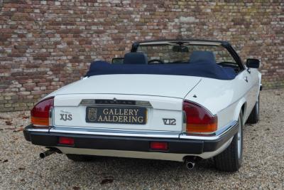 1988 Jaguar XJS 5.3 V12 Convertible