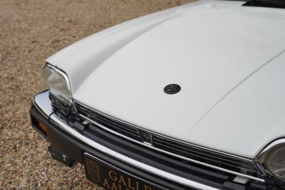 1988 Jaguar XJS 5.3 V12 Convertible