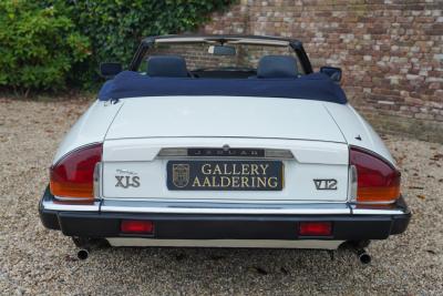 1988 Jaguar XJS 5.3 V12 Convertible