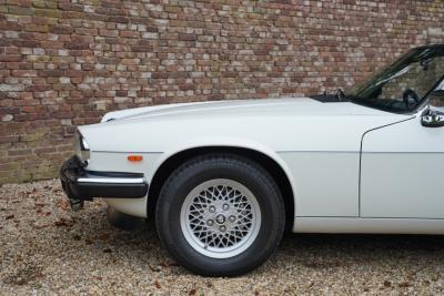 1988 Jaguar XJS 5.3 V12 Convertible