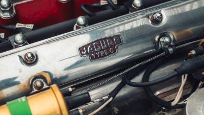 1952 Jaguar C-Type Recreation by Lynx