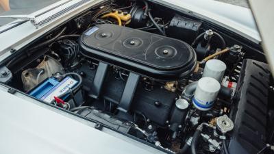 1966 Ferrari 330 GT 2+2 Series II