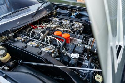 1972 Ferrari 365 GTC/4