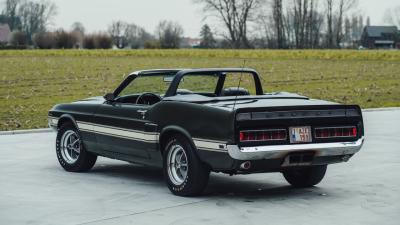 1969 Shelby GT350 Convertible