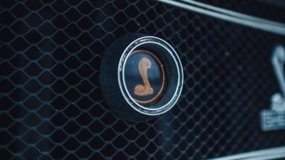 1969 Shelby GT350 Convertible