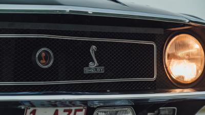 1969 Shelby GT350 Convertible