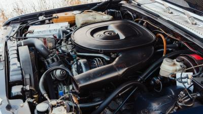 1976 Mercedes - Benz 450 SEL 6.9 ex-Claude Fran&ccedil;ois