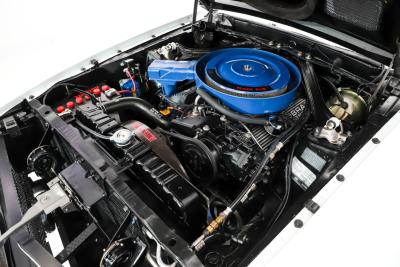 1969 Ford Shelby GT350