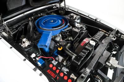 1969 Ford Shelby GT350