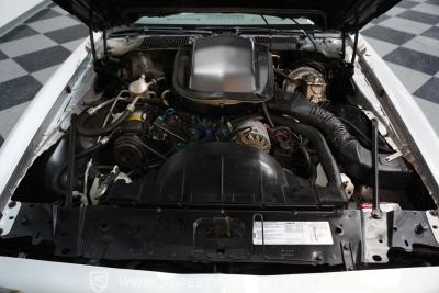 1979 Pontiac Firebird Trans Am 10th Anniversary Edition