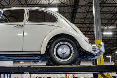 1966 Volkswagen Beetle