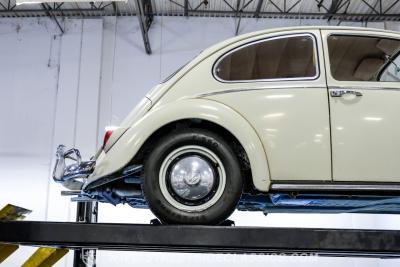 1966 Volkswagen Beetle