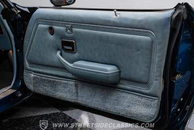 1979 Pontiac Firebird Trans Am