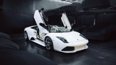 2010 Lamborghini Murci&eacute;lago LP640-4 Roadster
