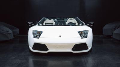 2010 Lamborghini Murci&eacute;lago LP640-4 Roadster