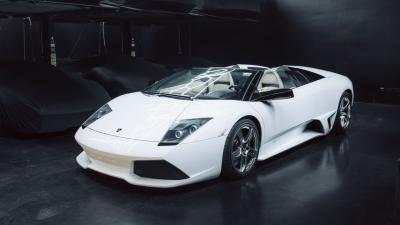 2010 Lamborghini Murci&eacute;lago LP640-4 Roadster