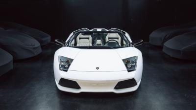 2010 Lamborghini Murci&eacute;lago LP640-4 Roadster