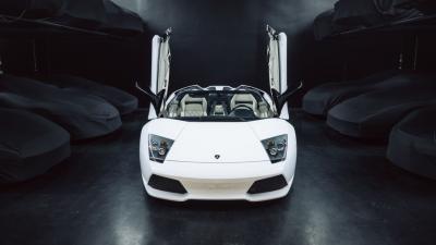 2010 Lamborghini Murci&eacute;lago LP640-4 Roadster