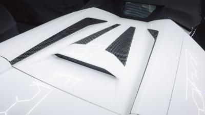 2010 Lamborghini Murci&eacute;lago LP640-4 Roadster