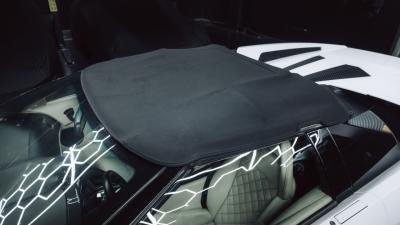 2010 Lamborghini Murci&eacute;lago LP640-4 Roadster