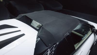 2010 Lamborghini Murci&eacute;lago LP640-4 Roadster