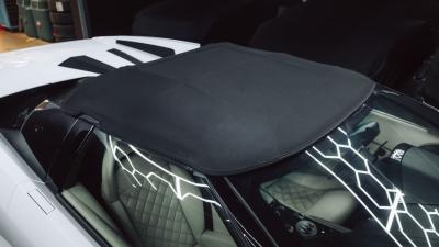 2010 Lamborghini Murci&eacute;lago LP640-4 Roadster