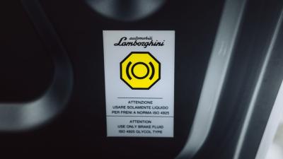 2010 Lamborghini Murci&eacute;lago LP640-4 Roadster