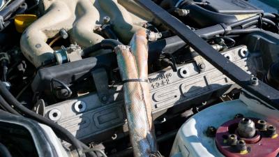 1988 Porsche 944 Turbo Cup &ldquo;Seabrooke&rdquo;