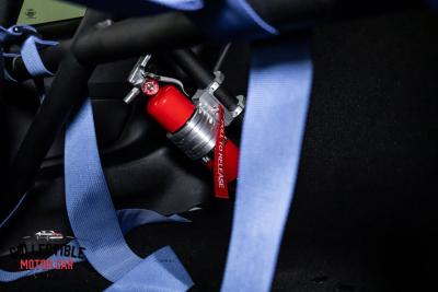 2015 Ford Mustang 50TH ANNIVERSARY