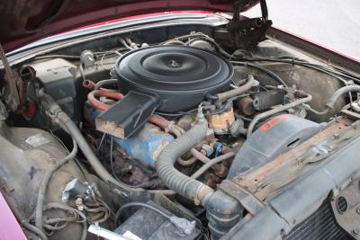 1969 Ford THUNDERBIRD 429