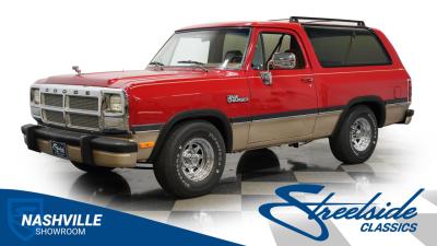 1991 Dodge Ramcharger LE