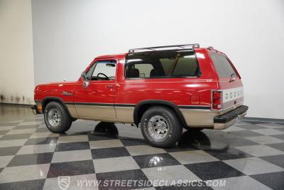 1991 Dodge Ramcharger LE