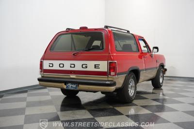 1991 Dodge Ramcharger LE