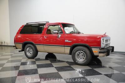 1991 Dodge Ramcharger LE