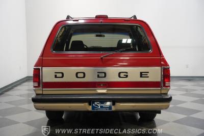 1991 Dodge Ramcharger LE