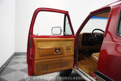 1991 Dodge Ramcharger LE